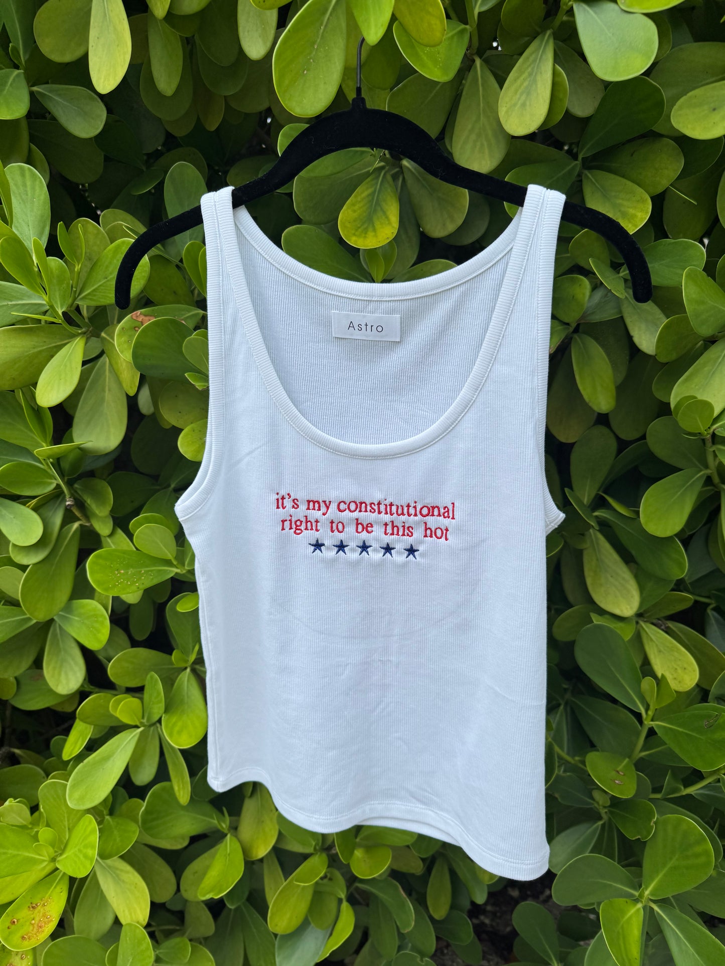 Constitutional Tank