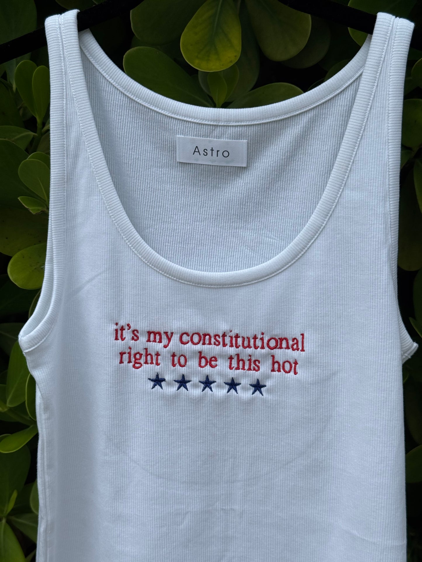 Constitutional Tank